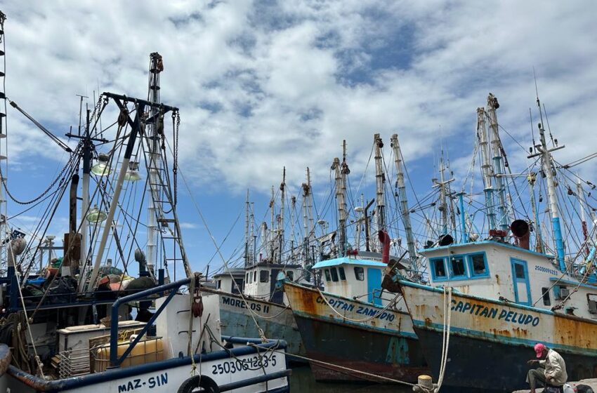 Embarcaciones De Mazatl N Se Refugian En Puertos Ante El Paso De La