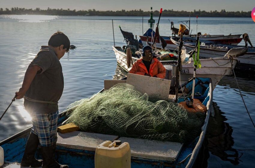  En sus marcas, listos… en septiembre depositan el Bienpesca