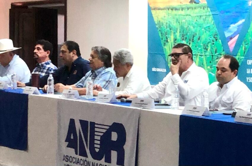  AARSP y ANUR llaman a la unidad para hacer frente al problema de la escasez de agua en Sinaloa