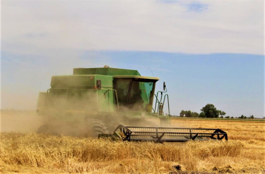  ¡No se desesperen! Rocha garantiza a productores de hasta 15 hectáreas que sí recibirán su pago