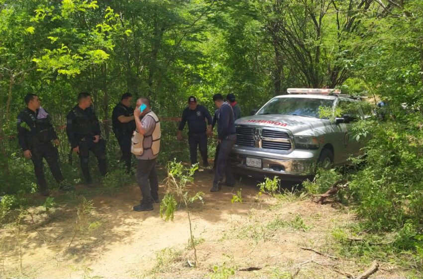  Picaduras de abejas, presunta muerte de Luis Alberto