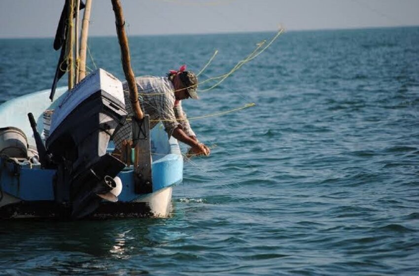  ¡Tentativamente! El 10 de octubre iniciarán pago de BienPesca en Sinaloa: Bienestar