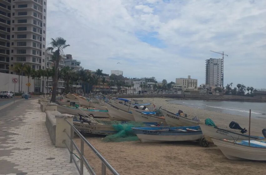  Repunta la pesca de cochito en Playa Norte