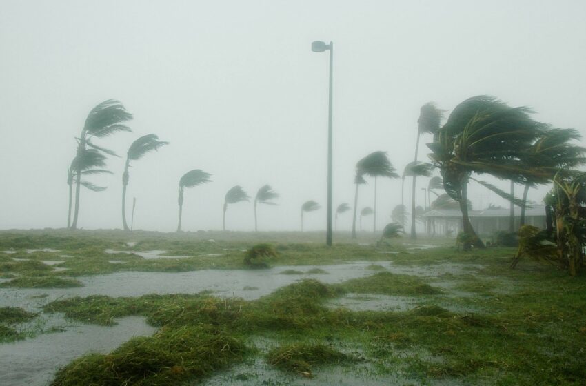  ¡Adiós tormentas! Cierra hoy oficialmente la temporada de huracanes en el Pacífico