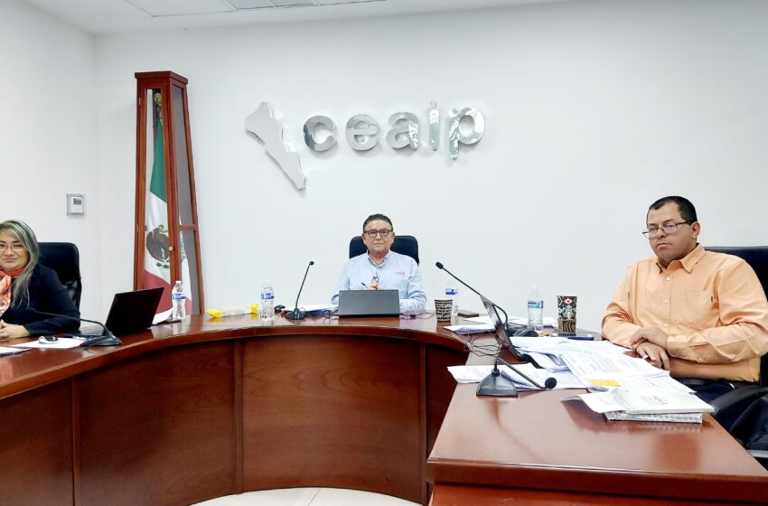  La CEAIP resolvió 30 asuntos de transparencia en la Sesión de Pleno 50 del año