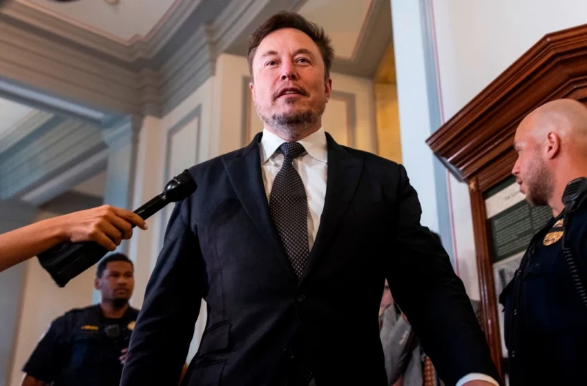  Elon Musk cruza una nueva línea, ahora con insultos