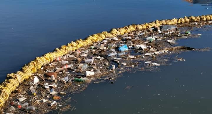  MazConCiencia durante el 2023 recogió más de 100 toneladas de basura en la zona costera de Mazatlán