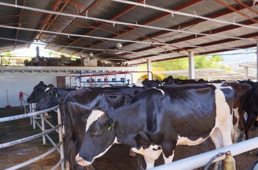  Esperan reactivar este año el laboratorio de la Asociación Ganadera Local de Mazatlán  