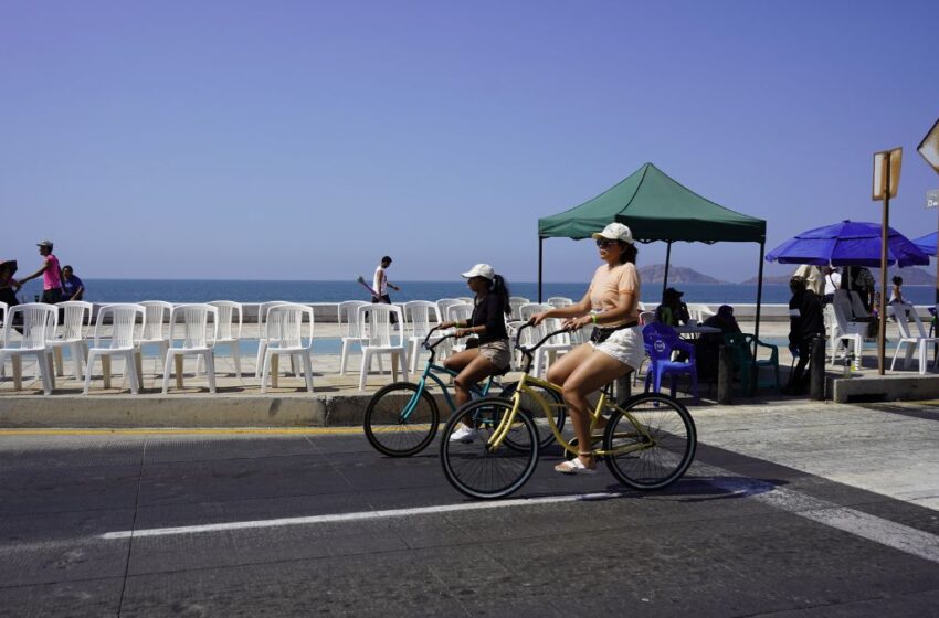  Renta de sillas y todo lo que será regulado en Carnaval 