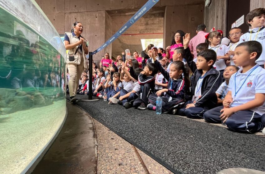  Niños de Guamúchil cumplen su sueño y conocen Mazatlán