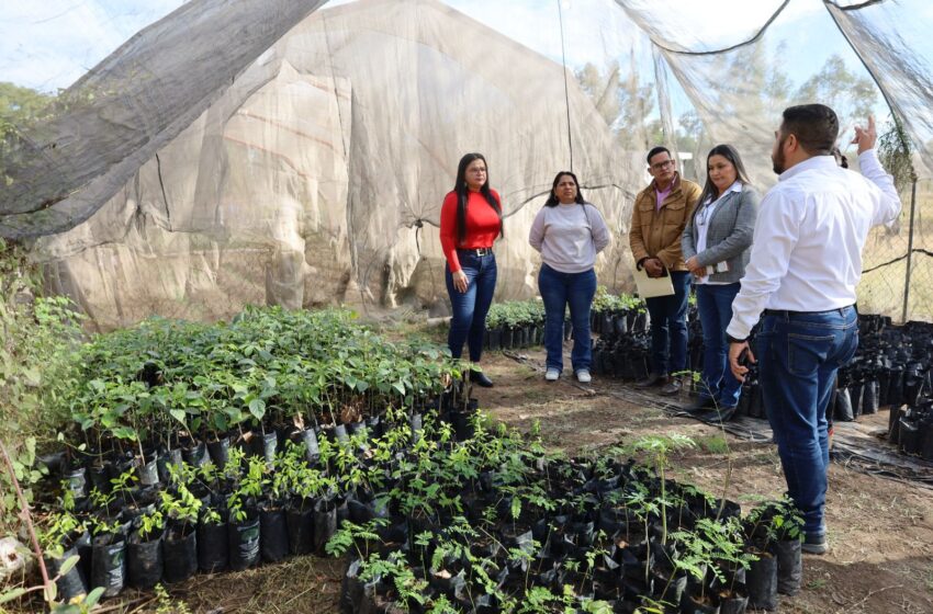  Inicia Navolato proyecto de reforestación; Margoth Urrea firma convenio para plantar 3 mil árboles