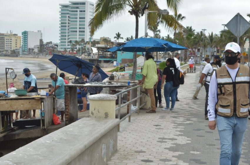  Al fin llegaron, reportan capturas de sierra en Playa Norte  