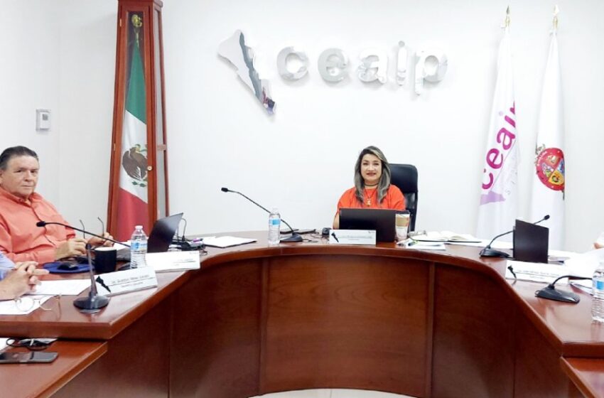  CEAIP llama al Congreso a nombrar al titular del Órgano Interno de Control e integrantes del Consejo Consultivo Ciudadano