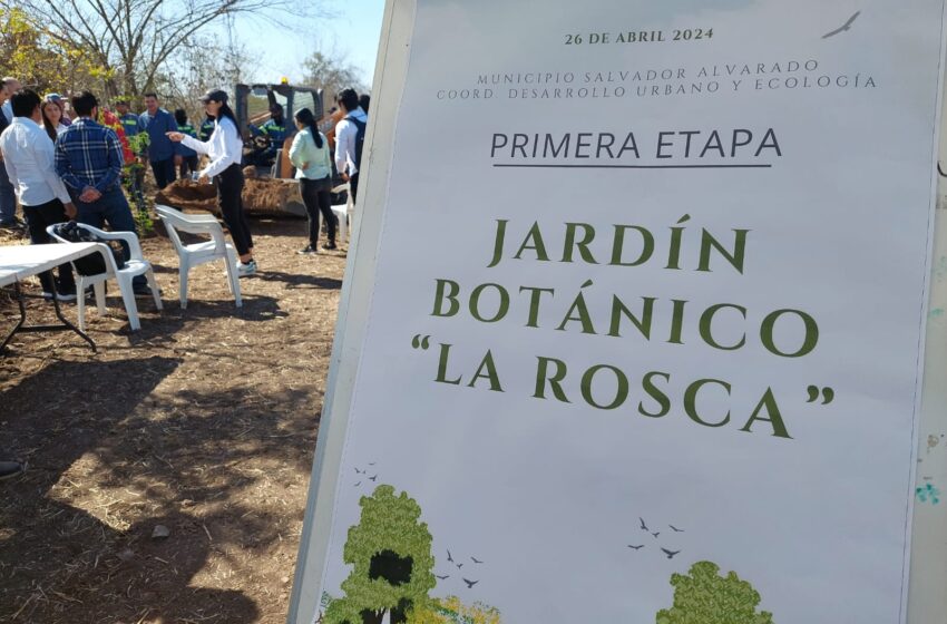  En Salvador Alvarado inician la primera etapa de lo que será el Jardín Botánico