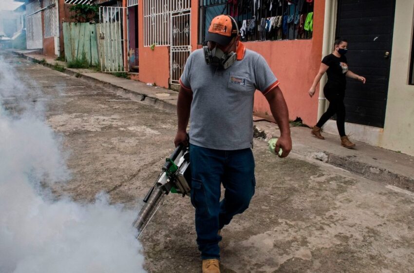  Casos de dengue se duplican en Costa Rica y se registran al menos 5 muertes