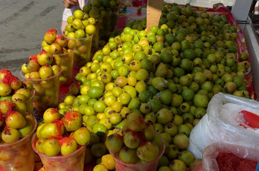  ¡¡Lleeeeego la Guayaba Arrayán, fresca, riquísima con Sal y Piquín!!!