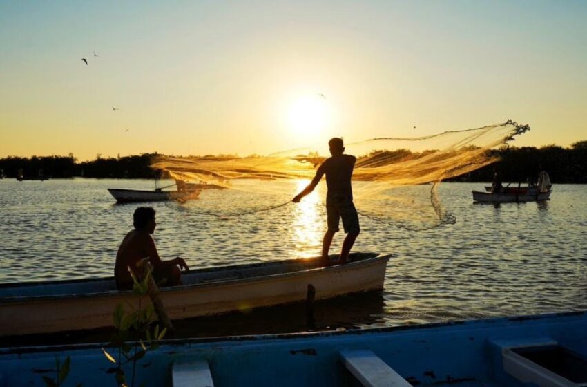  Corrientes marinas desfavorables agravan crisis pesquera en Mazatlán 