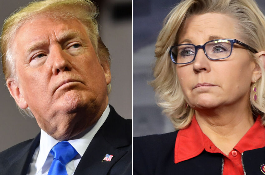  Trump dice que Liz Cheney es un “halcón de guerra” y debería ser atacada, en medio de la escalada de retórica violenta contra sus oponentes