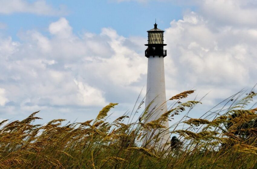  La cabeza que apareció en la costa sur de Florida pertenece a joven de 19 años desaparecido, según reporta la Policía