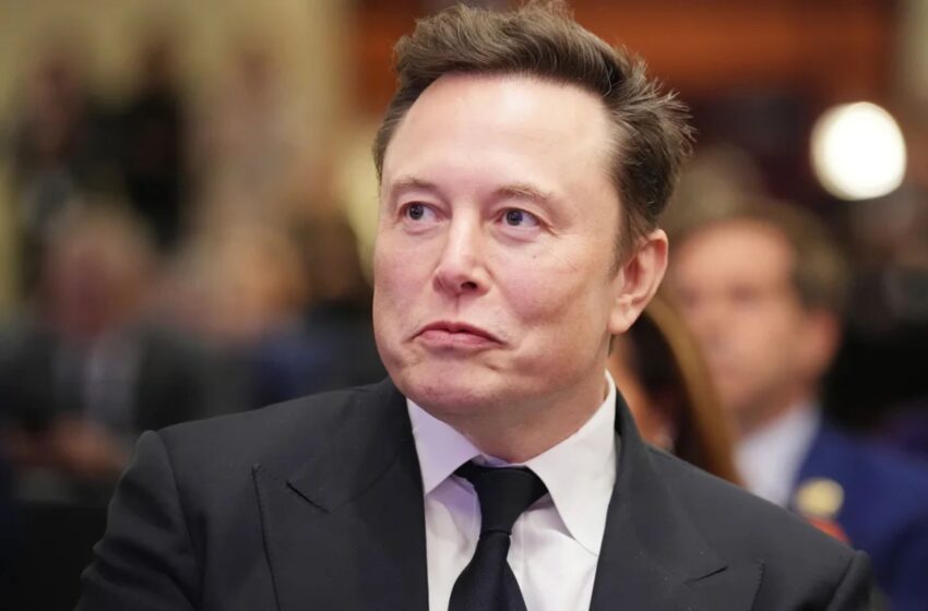  ANÁLISIS | Elon Musk habla de comprar MSNBC, pero no es el único multimillonario que podría estar interesado