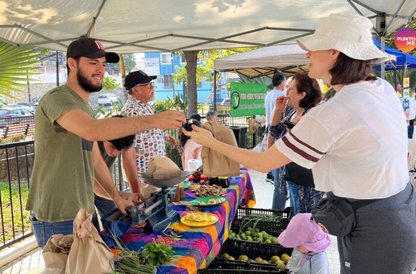  Regresa Mercado Orgánico en Mazatlán… con productos 100% sinaloenses