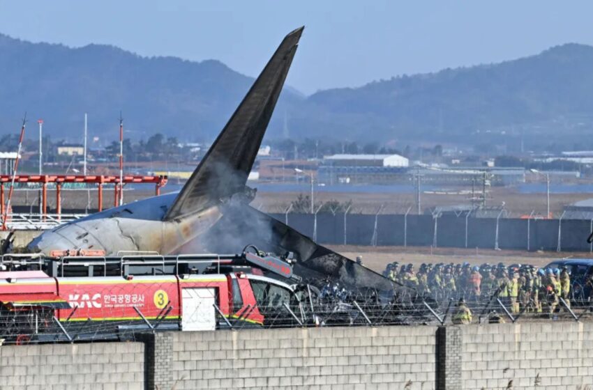  Última hora del avión que se estrelló en Corea del Sur: noticias, muertos, reacciones y más