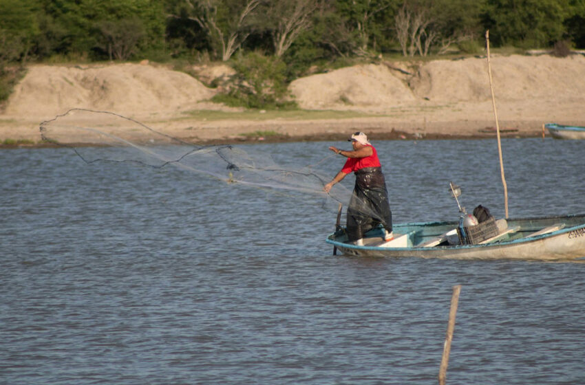  Ayuda económica permitirá a pescadores solventar gastos y retomar actividad