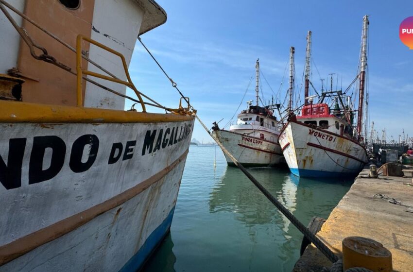  Difícil, el inicio de año para los pescadores: Unión de Armadores 