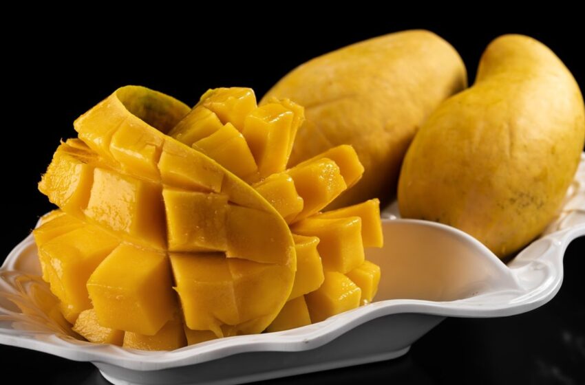  Mango Ataulfo del sur de Sinaloa llegará por primera vez a Europa