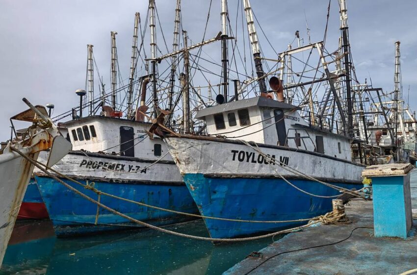 Casi 200 barcos de Mazatlán continúan en altamar: Capitanía de Puerto