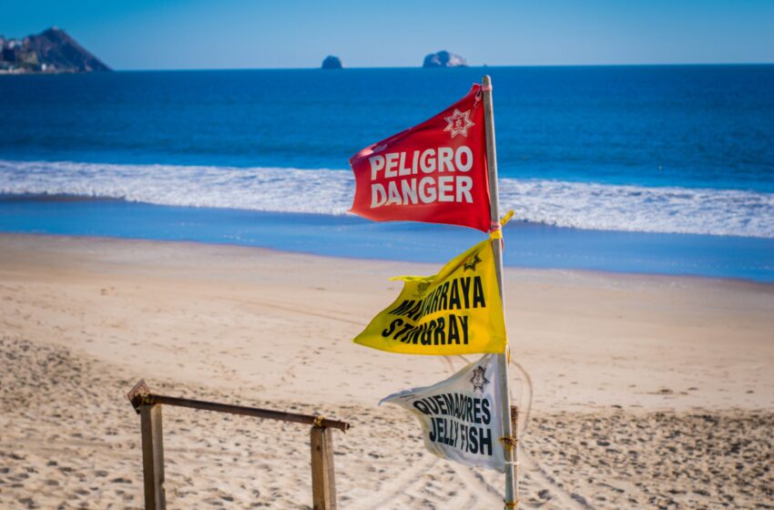 ¡Atención bañistas! Durante fin de semana habrá oleaje en playas de Mazatlán