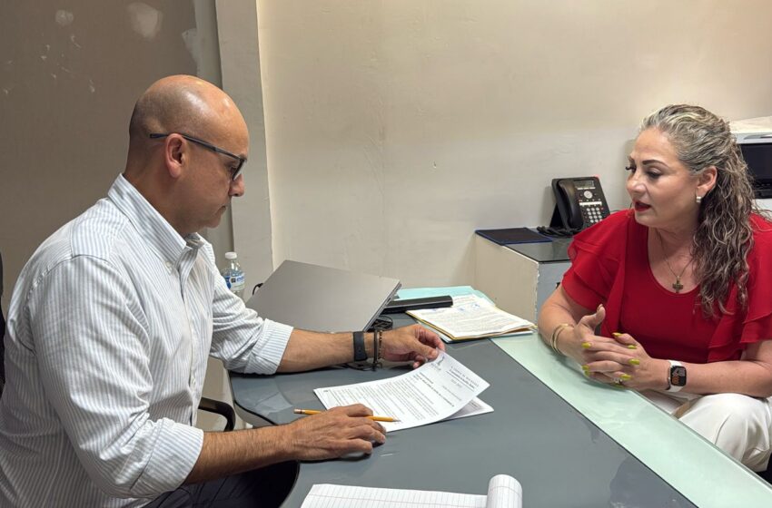 Chollet Pide Renuncia de la Directora de Ecología y Presenta Denuncia Contra Responsables Sobre Tala de Palmeras