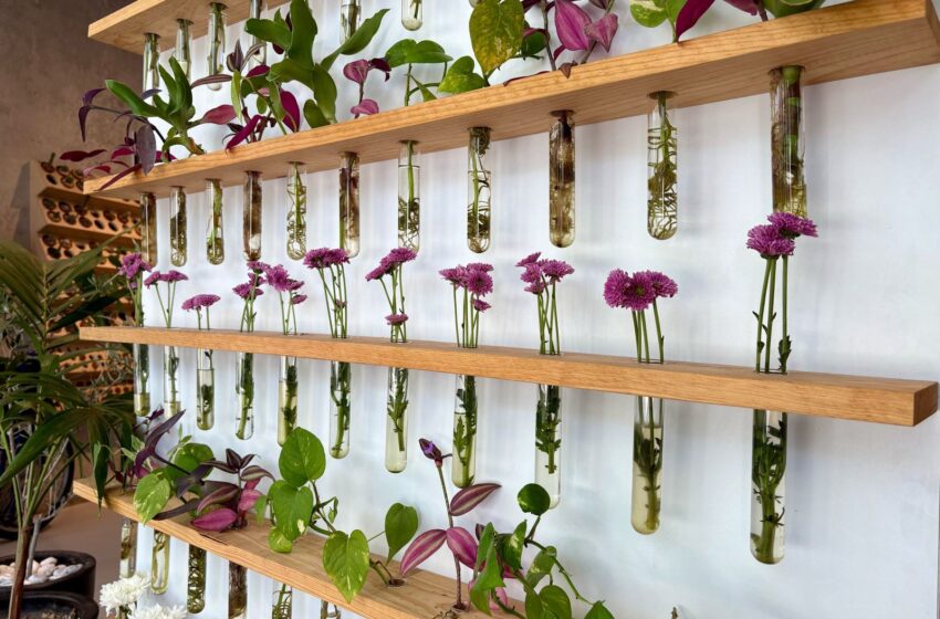 Regala una experiencia de arte y naturaleza a mamá en Jardín Botánico Culiacán