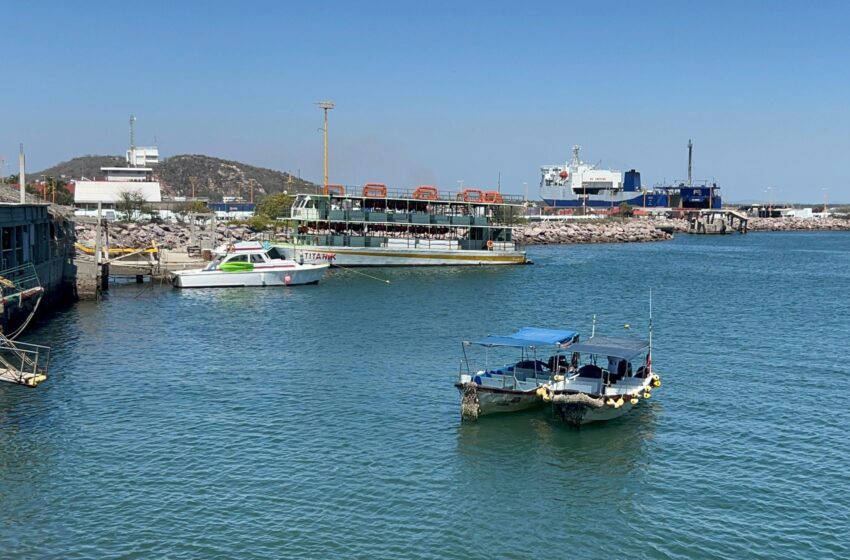  Paseos en catamarán repuntan un 50% los fines de semana
