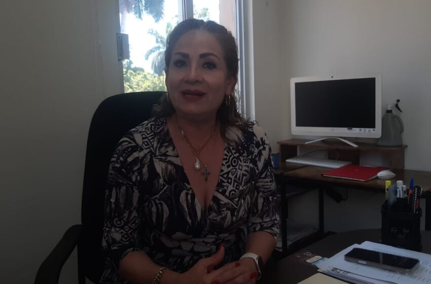 Elecciones es el Ejercicio Más Burdo del Autoritarismo del Gobierno Federal, Dice Maribel Chollet