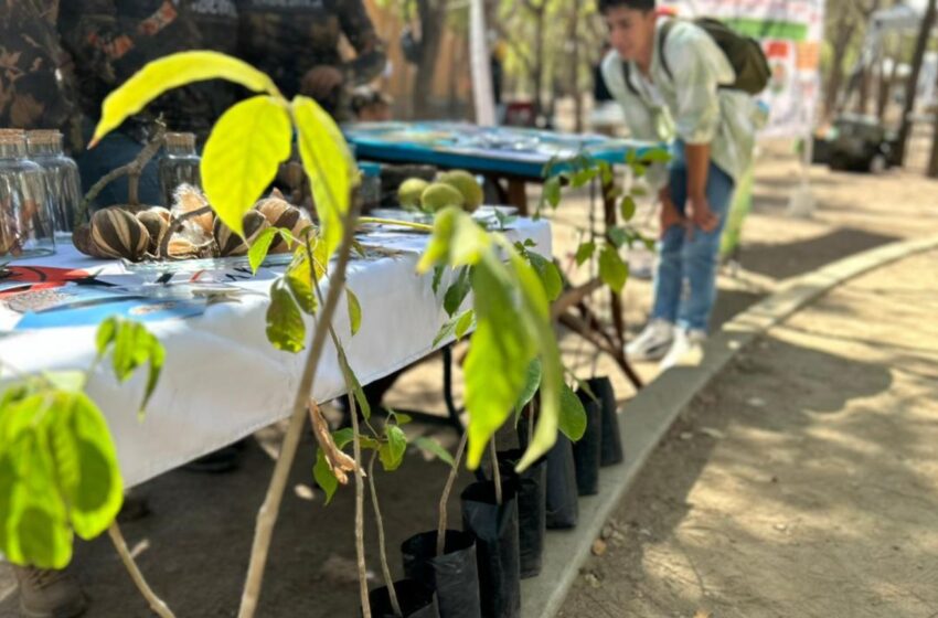 Lo más top del cuidado del medio ambiente, en la Expo Ambiental Son Playas
