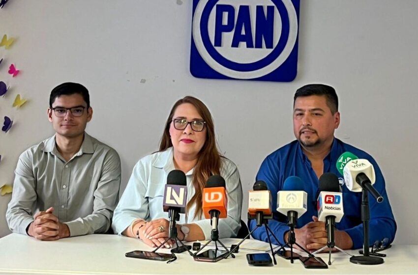 Así ven los del PAN la elección judicial del próximo 1 de junio